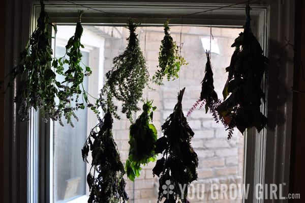 Herbs Hanging to Dry