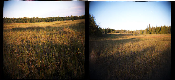 Singing Sands Fen