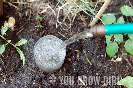 bottle irrigation