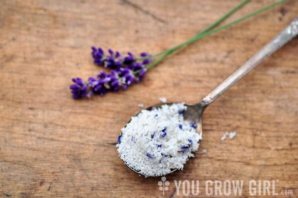 homegrown lavender salt