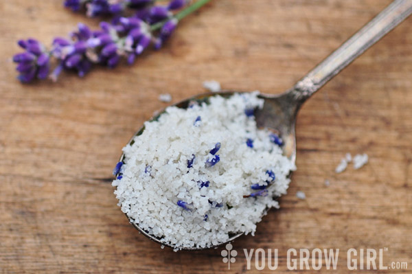 homegrown lavender salt