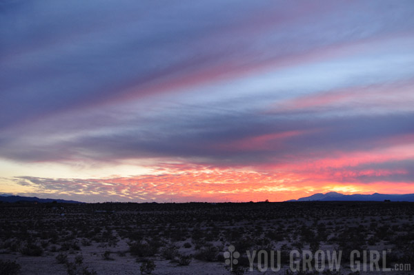 Mojave Sunset