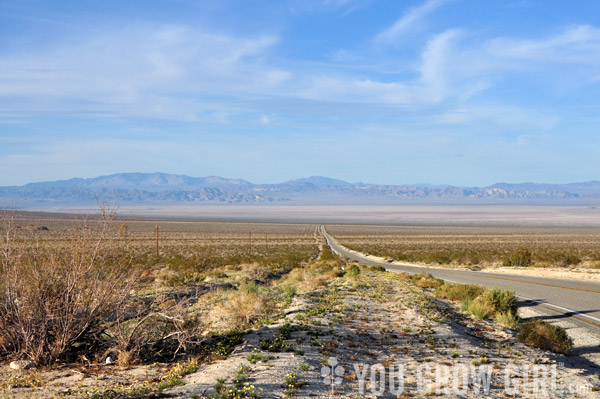 Mojave Desert