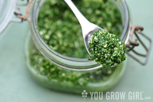 Nasturtium Leaf Pesto