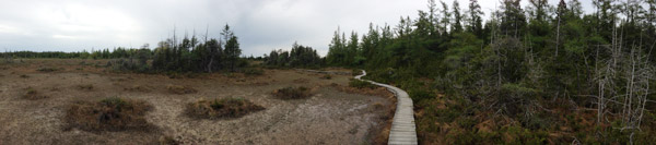 Petrel Point Fen, Bruce Peninsula