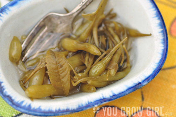 Pickled Radish Seed Pods