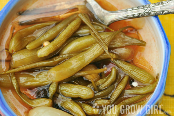 Pickled Radish Seed Pods