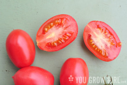 Pink San Marzano tomato