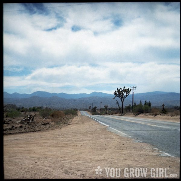 Pioneertown