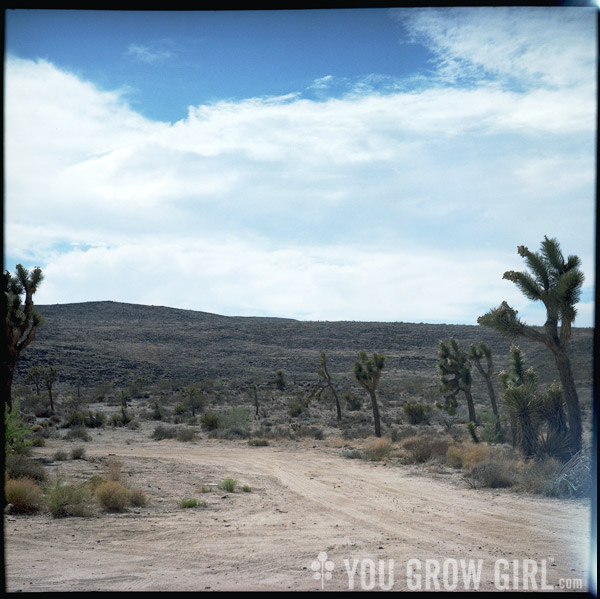 Pioneertown