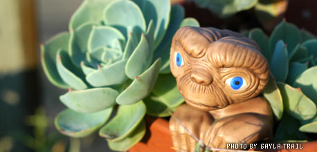 plantsitters_title