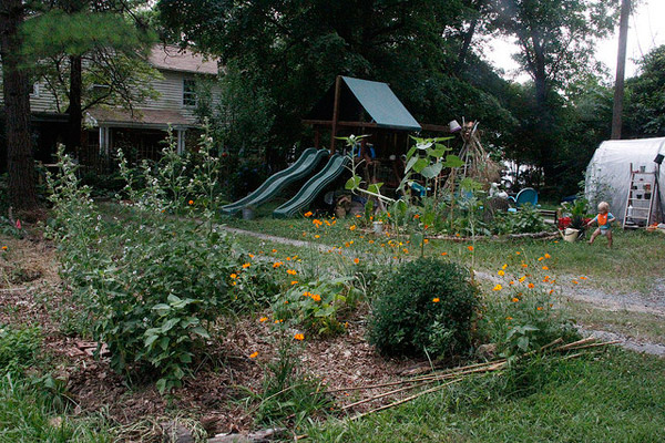 Renee Garners Garden