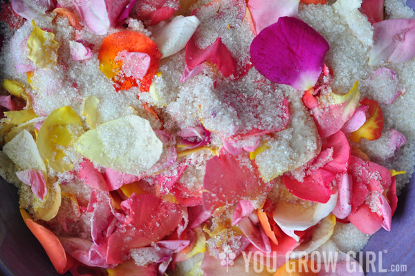 Rose Petals in Sugar