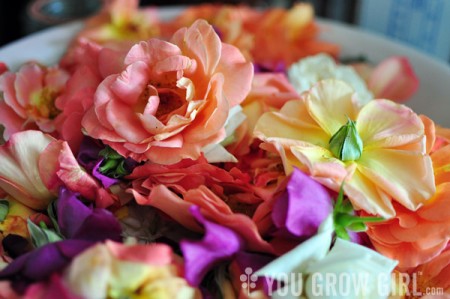 How to Harvest, Dry, and Use Rose Petals – You Grow Girl