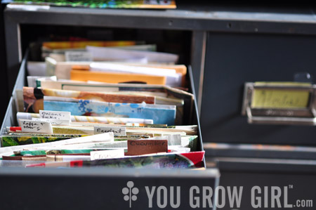 Seed Storage & Organization Tips - Growing In The Garden