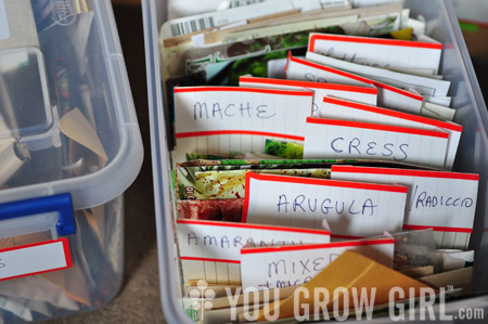 Seed Storage & Organization Tips - Growing In The Garden