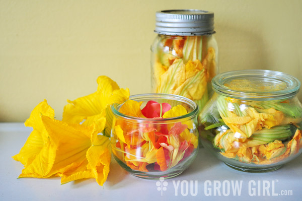 Edible Flowers stored in Jars