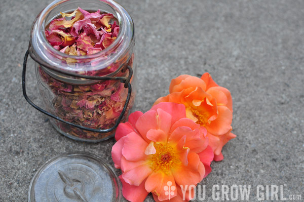 storing dried roses