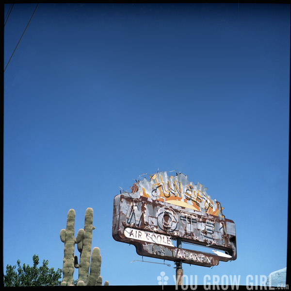 Old Motel Saguaro