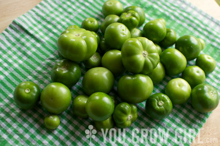 https://www.yougrowgirl.com/wp-content/uploads/tomatillo_green_pile.jpg