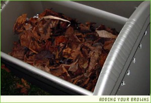 Urban Composting – You Grow Girl