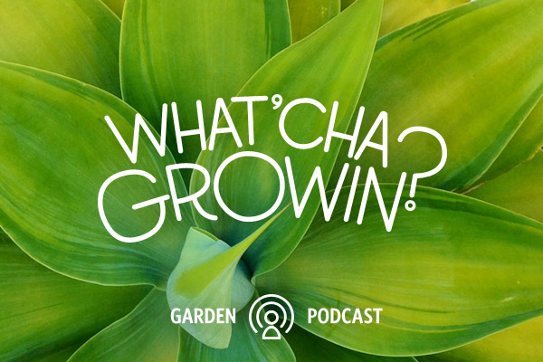 whatcha growin episode 5