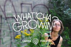 Whatcha Growin a podcast about gardeners and their gardens