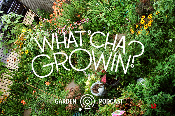 Whatcha Growin Podcast